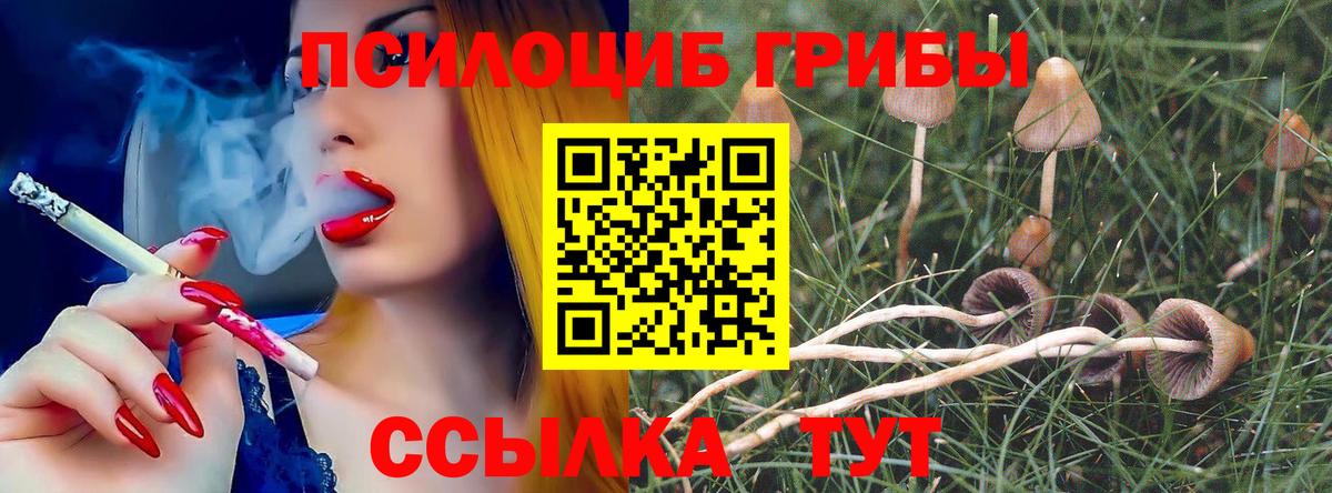 Псилоцибиновые грибы мицелий Протвино